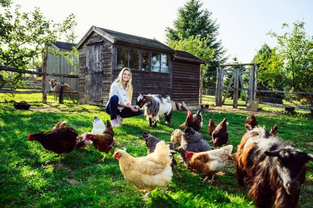 How Do I Create A Homestead That Aligns With My Ethical And Environmental Values?