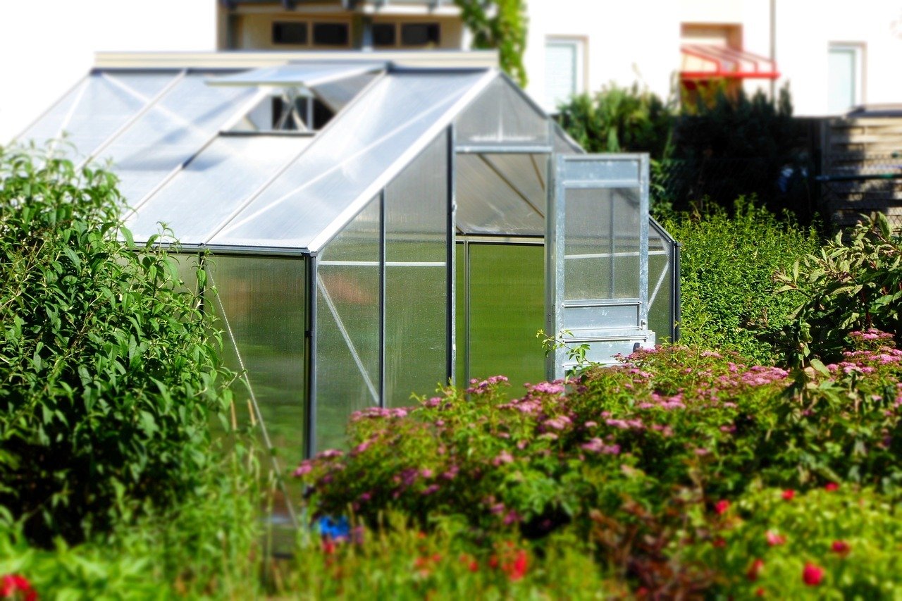 How Can I Build A Greenhouse On A Budget?