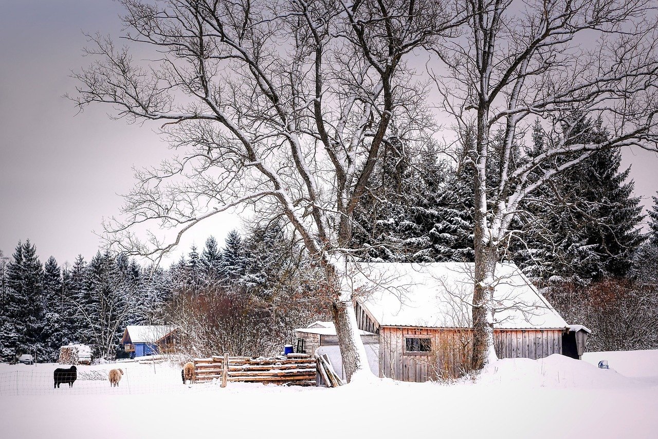 Can Homesteading Be Practiced In Cold Climates?